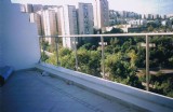 picture_  